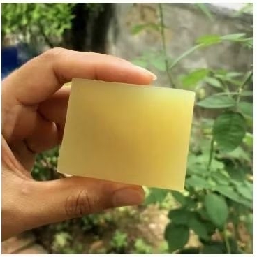 Phôi xà phòng Mù u Escoco