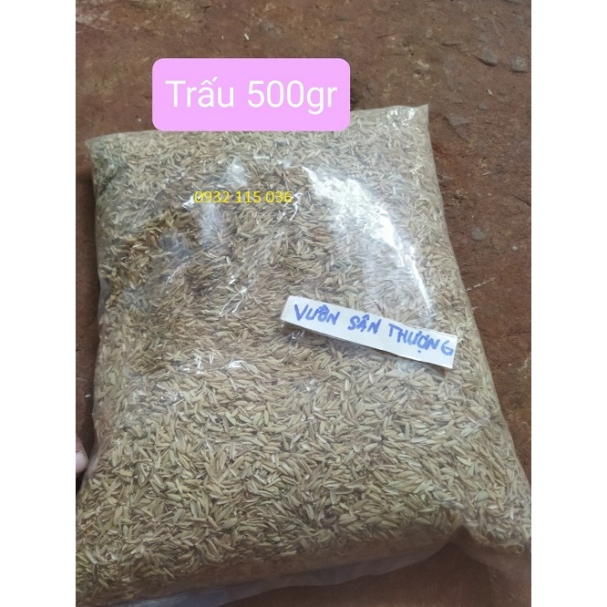 500gr Trấu 500gr Mụn Xơ Dừa Giá Thể Trộn Đất Trồng Cây Thông Dụng, Thoáng Đất Tránh Ngập úng Cho Rễ