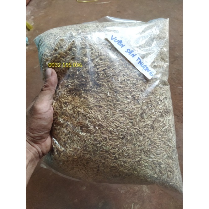 500gr Trấu 500gr Mụn Xơ Dừa Giá Thể Trộn Đất Trồng Cây Thông Dụng, Thoáng Đất Tránh Ngập úng Cho Rễ