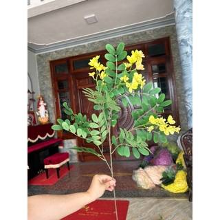 CÀNH HOA MUỒNG ( HOÀNG YẾN ) DECOR SIÊU XINH - HOA GIẢ TRANG TRÍ