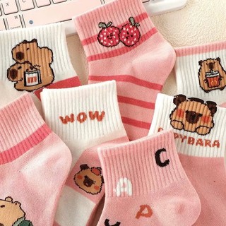 Set 5 Đôi Tất Cotton CapyBara TE74, TE90 Cổ Gân Sợi Bông Thoáng Khí Mẫu Mới Cho Bé