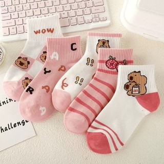 Set 5 Đôi Tất Cotton CapyBara TE74, TE90 Cổ Gân Sợi Bông Thoáng Khí Mẫu Mới Cho Bé