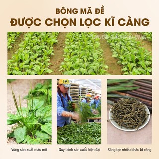 Bông mã đề khô 500g, cây mã đề, thơm, sạch - Lãn Ông