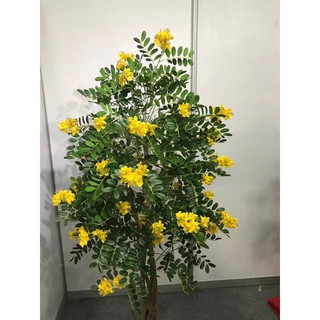 CÀNH HOA MUỒNG ( HOÀNG YẾN ) DECOR SIÊU XINH - HOA GIẢ TRANG TRÍ