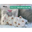 50 Chiếc Khẩu Trang Lụa Trẻ Em 5D Hồng Quân Họa Tiết Gấu Nâu Mũi Trắng Cho Bé Từ 0 Đến 6 Tuổi