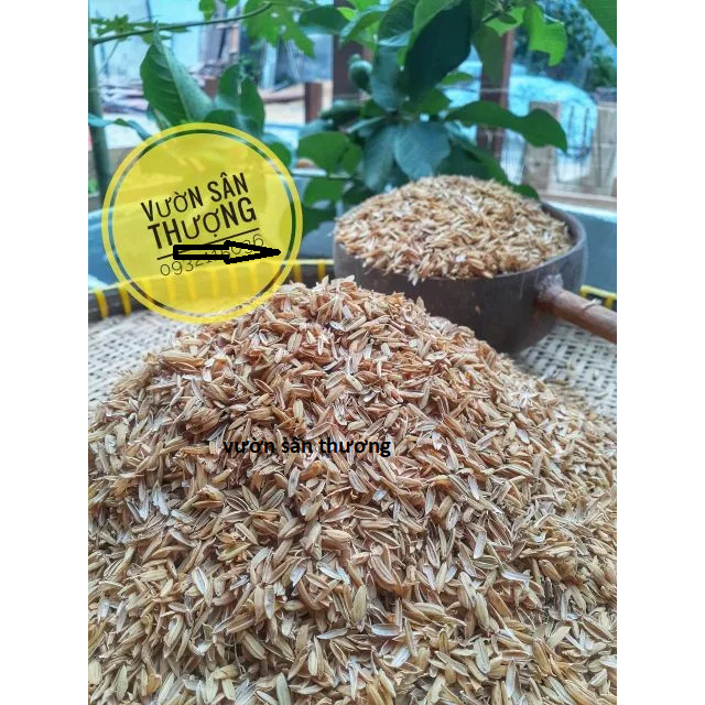 Trấu Tươi (500gr) Gía Thể Phối Trộn Đất Trồng Cây, Trang Trí