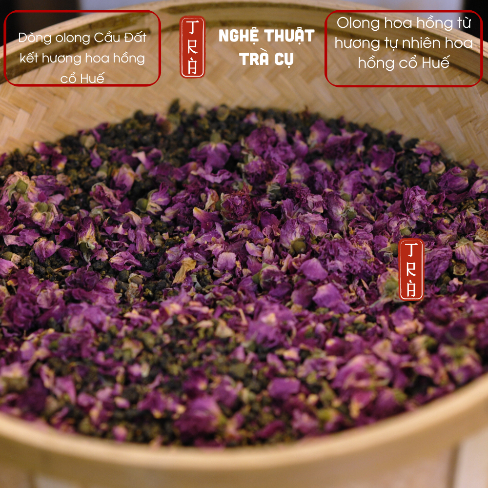Olong hoa hồng- Thư Vương Trà nền olong Cầu Đất và hoa hồng cổ Huế theo phương pháp truyền thống
