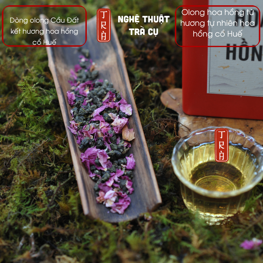 Olong hoa hồng- Thư Vương Trà nền olong Cầu Đất và hoa hồng cổ Huế theo phương pháp truyền thống
