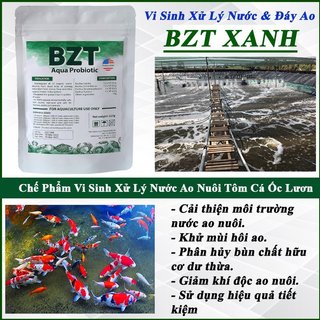 5 Gói Men Vi sinh Bể Cá, Ao Nuôi Tôm Công Nghiệp BZT Xanh, Vi Sinh Làm Trong Nước, Phân Hủy Bùn Khử Mùi Hôi. Gói 227gram