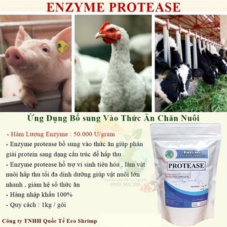Enzyme Proteasa Nguyên Liệu, Bổ Sung Thức Ăn Trong Chăn Nuôi, Phân Hủy Protein, Tăng Cường Hấp Thu Dinh Dưỡng.