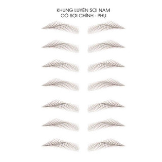 GIẤY LUYỆN VẼ SỢI NỮ MẪU MỚI