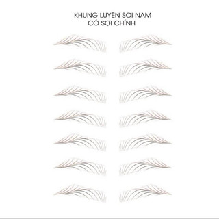 GIẤY LUYỆN VẼ SỢI NỮ MẪU MỚI