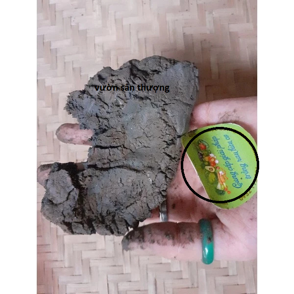 1kg Bùn Sạch Độ Ẩm 30-50% Trồng Hoa Sen, S.úng, Củ Ấu, Cây Thủy Sinh, Mùn Cao