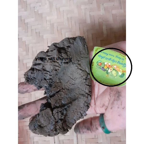 1kg Bùn Sạch Độ Ẩm 30-50% Trồng Hoa Sen, S.úng, Củ Ấu, Cây Thủy Sinh, Mùn Cao