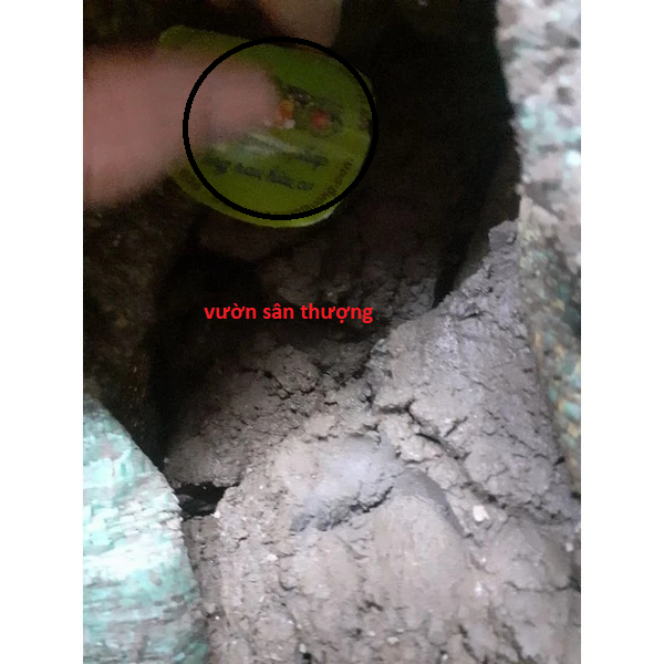 1kg Bùn Sạch Độ Ẩm 30-50% Trồng Hoa Sen, S.úng, Củ Ấu, Cây Thủy Sinh, Mùn Cao