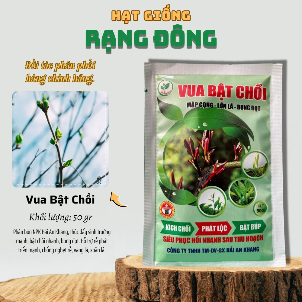 Phân Bón Lá Vua Bật Chồi (Gói 50g) Thúc đẩy cây ra rễ, Nhú đọt, Bung lá ...