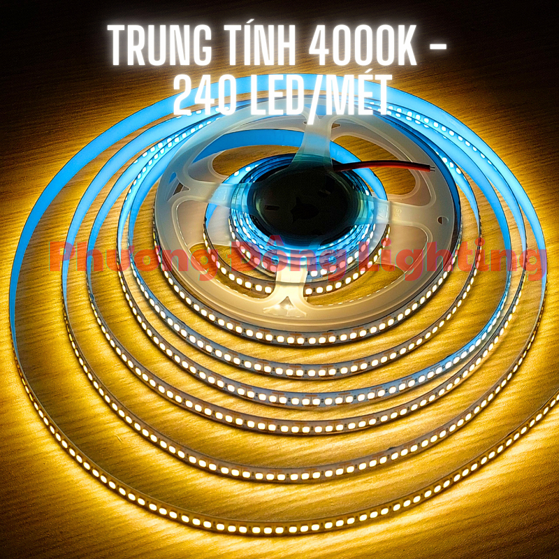 Cuộn LED dây dán 12V - 240 LED màu Trắng - Vàng - Trung tính 5m