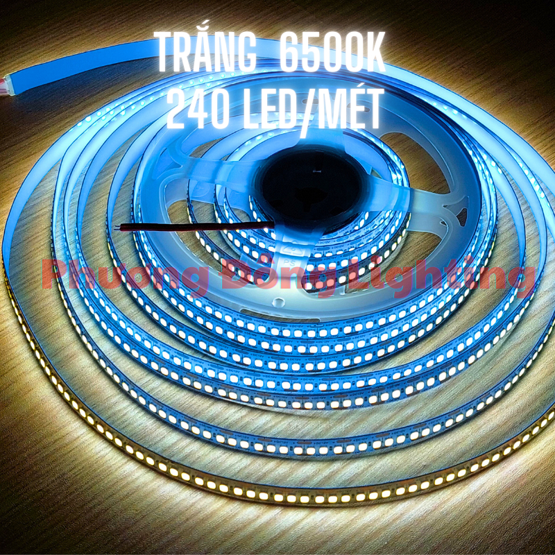 Cuộn LED dây dán 12V - 240 LED màu Trắng - Vàng - Trung tính 5m