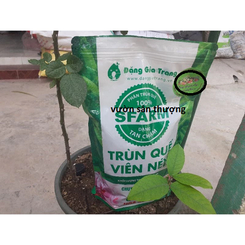 200gr Phân Trùn Quế Viên Nén Đặng Gia Trang chia Lẻ Từ Bao Nguyên, Bổ Sung dinh dưỡng cho Cây
