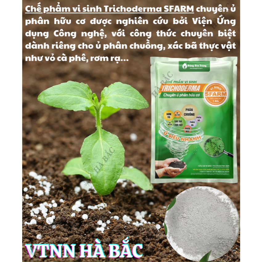 Chế Phẩm Vi Sinh TRICHODERMA SFARM, có thêm Humic - Gói 1KG (ú phân chuồng, ủ rác, cải tạo đất)