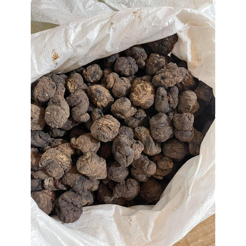 500GR Củ Sinh Địa (Củ Sanh Địa) To, Khô Sạch Sấy Khô Bổ Máu Giải Độc, Hỗ Trợ Tim Mạch