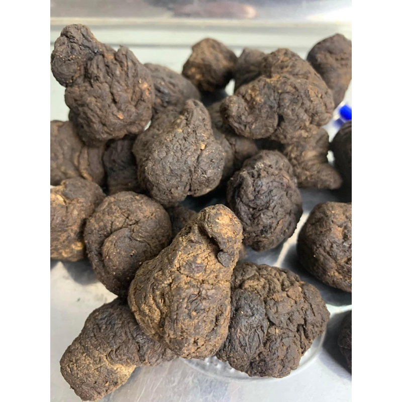 500GR Củ Sinh Địa (Củ Sanh Địa) To, Khô Sạch Sấy Khô Bổ Máu Giải Độc, Hỗ Trợ Tim Mạch