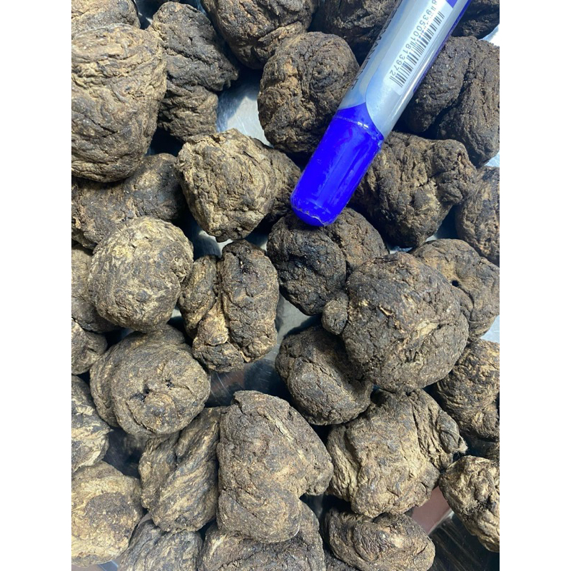 500GR Củ Sinh Địa (Củ Sanh Địa) To, Khô Sạch Sấy Khô Bổ Máu Giải Độc, Hỗ Trợ Tim Mạch