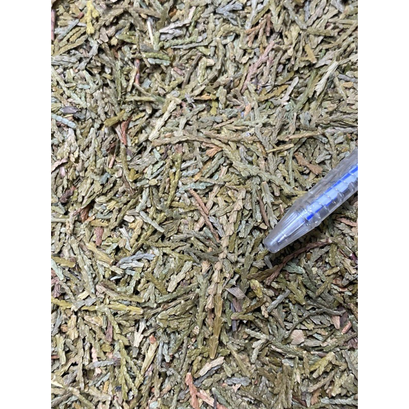 500GR Trắc Bá Diệp ( Khô, Đẹp, Thơm ) Hàng Loại 1