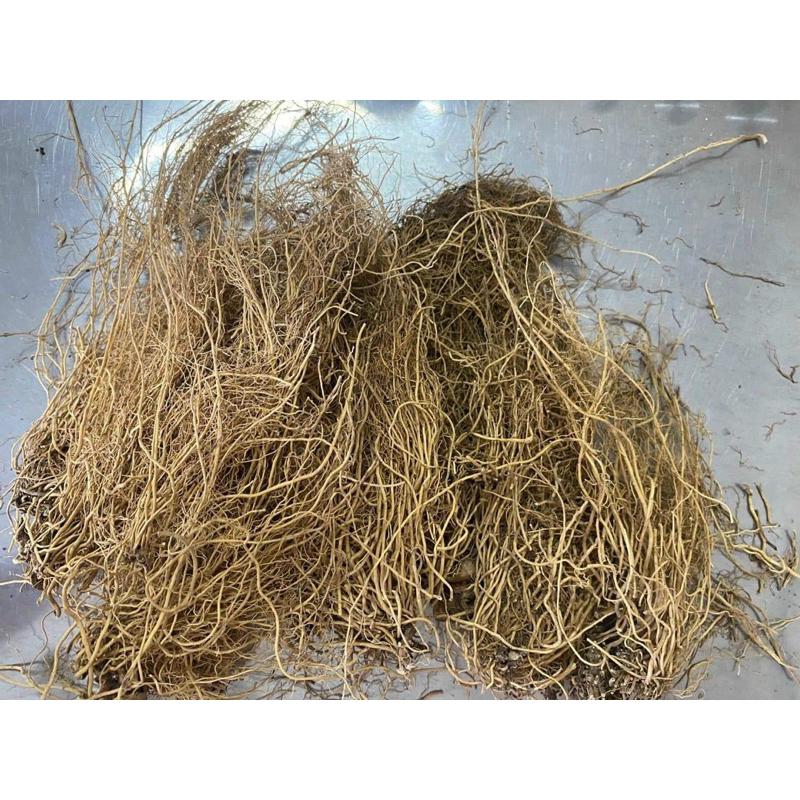 250GR Tế Tân Khô, Sạch, Đẹp Hàng Loại 1