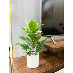 Combo chậu cây giả y hình - chậu cây giả 40cm