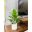 Combo chậu cây giả y hình - chậu cây giả 40cm