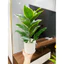 Combo chậu cây giả y hình - chậu cây giả 40cm