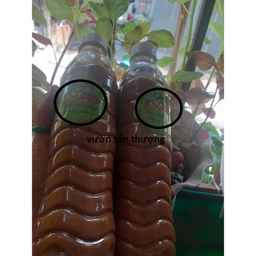 1 Lít Dịch Chuối, Thầ.n Dư.ợc Tăng Kali Cho Lan, Củ Quả, Hoa Hồng, Đồ Tự Ủ Bằng V.i Si.nh Có Lợi