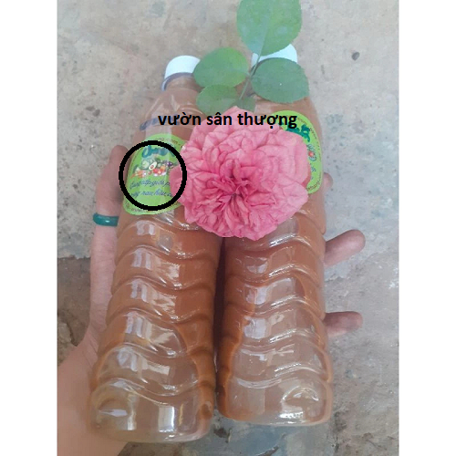 1 Lít Dịch Chuối, Thầ.n Dư.ợc Tăng Kali Cho Lan, Củ Quả, Hoa Hồng, Đồ Tự Ủ Bằng V.i Si.nh Có Lợi
