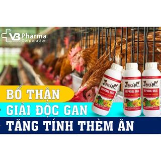 Dung dịch uống Hepasol Oral cho chó mèo gia súc gia cầm bổ thận mát gan kích thích ăn uống VB Pharma