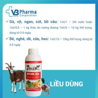Dung dịch uống Hepasol Oral cho chó mèo gia súc gia cầm bổ thận mát gan kích thích ăn uống VB Pharma