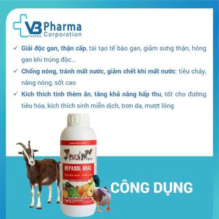 Dung dịch uống Hepasol Oral cho chó mèo gia súc gia cầm bổ thận mát gan kích thích ăn uống VB Pharma