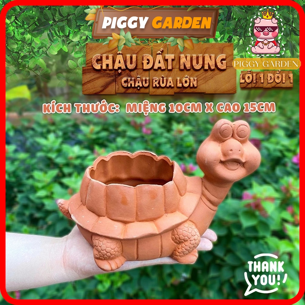 Chậu đất nung - Chậu trồng sen đá, xương rồng - Chậu trồng cây - Chậu ...