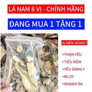 Lá Nam 8 Vị - giúp thận khỏe, khỏe sinh lý ở nam giới