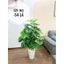 CÂY GIẢ - CÂY TRẦU BÀ LÁ XẺ HÀNG LOẠI ĐẸP DECOR TRANG TRÍ NHÀ