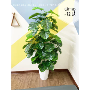 Cây trầu bà lá xẻ cao 1m5 - 72 lá - cây giả trang trí decor nhà
