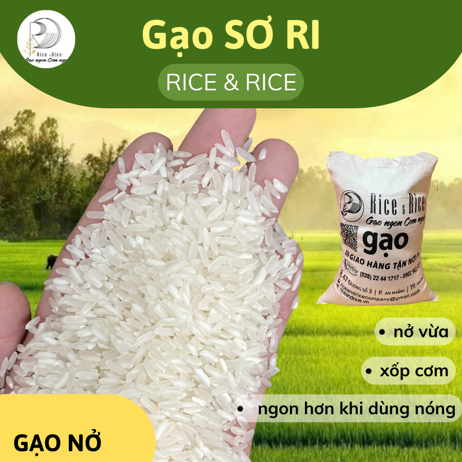 Gạo Sa ri- Sơ Ri - Gạo Chiên Cơm - Xốp Mềm Tơi Cơm - Túi 5KG | Shopee ...