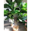 cây bàng giả cao 1m7 - freeship