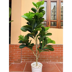 cây bàng giả cao 1m7 - freeship