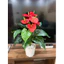 cây hồng môn giả 🌺 cao 50cm - Chậu cây để bàn trang trí nhà cửa, văn phòng