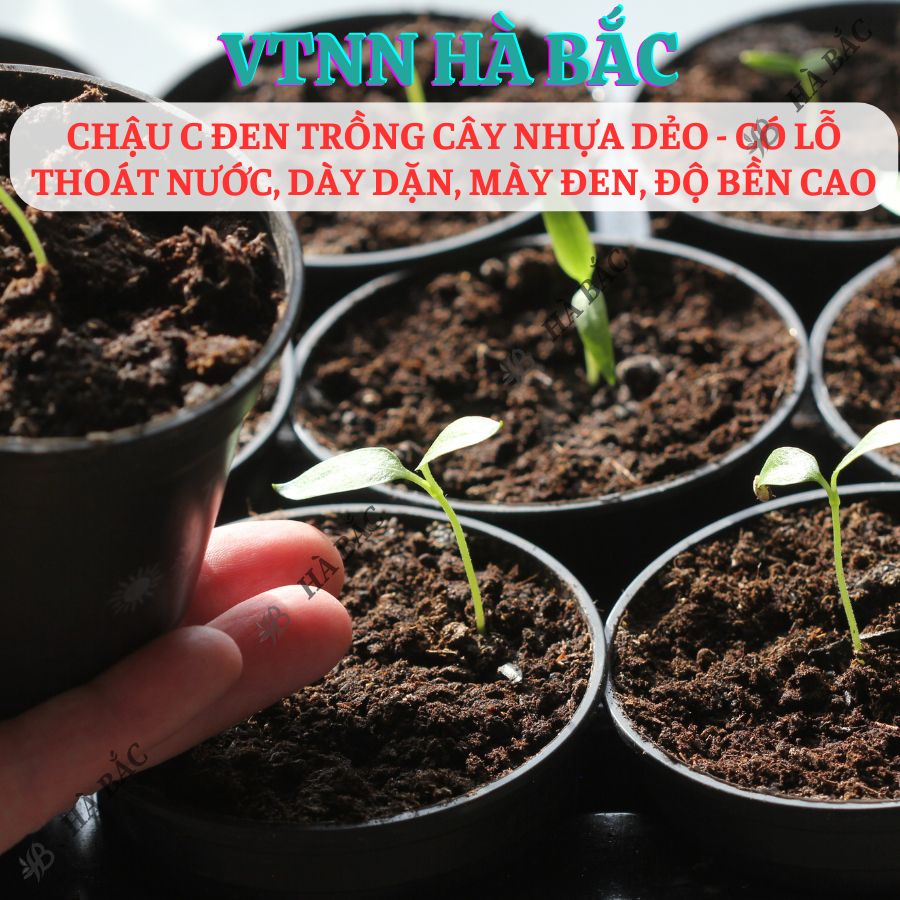 [5 cái] Chậu Trồng Cây Nhựa Dẻo C11 - KT: 26x21cm có lỗ thoát nước, dày dặn, mày đen, độ bền cao - Nông Nghiệp Hà Bắc