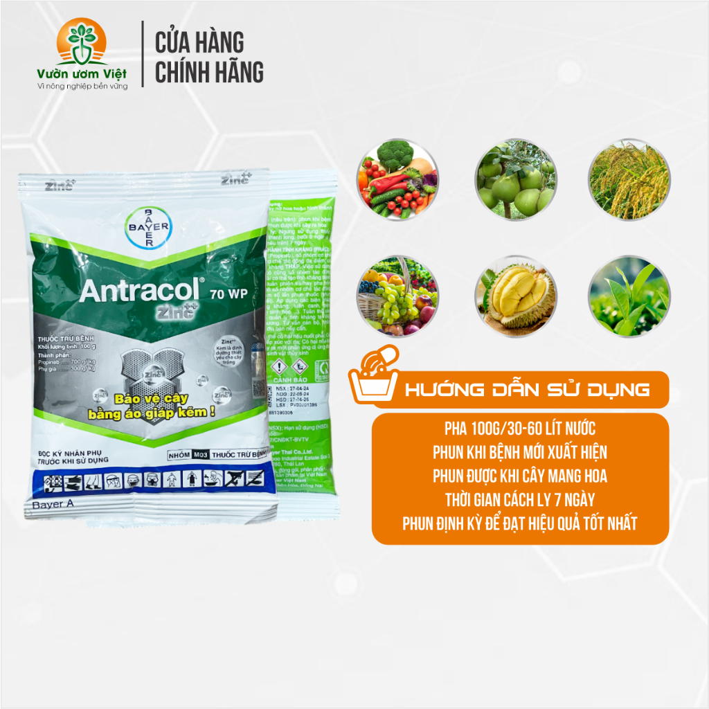 Thuốc trừ bệnh Antracol 70WP chính hãng Bayer bảo vệ cây trồng khỏi bệnh bằng áo giáp Kẽm - 100gr