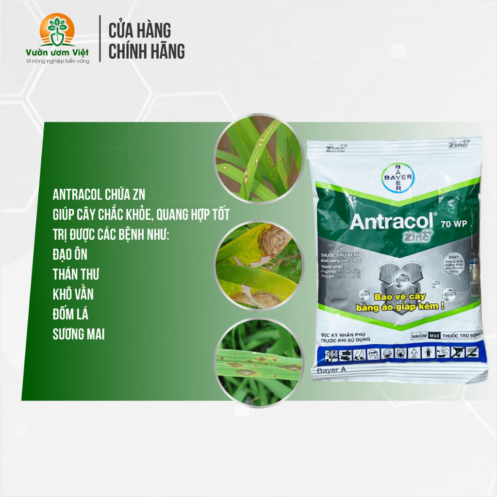 Thuốc trừ bệnh Antracol 70WP chính hãng Bayer bảo vệ cây trồng khỏi bệnh bằng áo giáp Kẽm - 100gr
