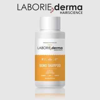 Dầu gội phục hồi tái sinh cấu trúc tóc ngăn ngừa gãy rụng Laborie Derma Bond Shampoo