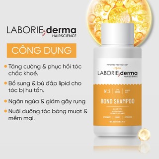 Dầu gội phục hồi tái sinh cấu trúc tóc ngăn ngừa gãy rụng Laborie Derma Bond Shampoo